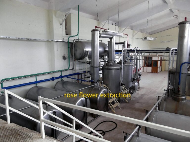 Planta de extracción de flores de rosa con extractores rotativos y evaporadores.