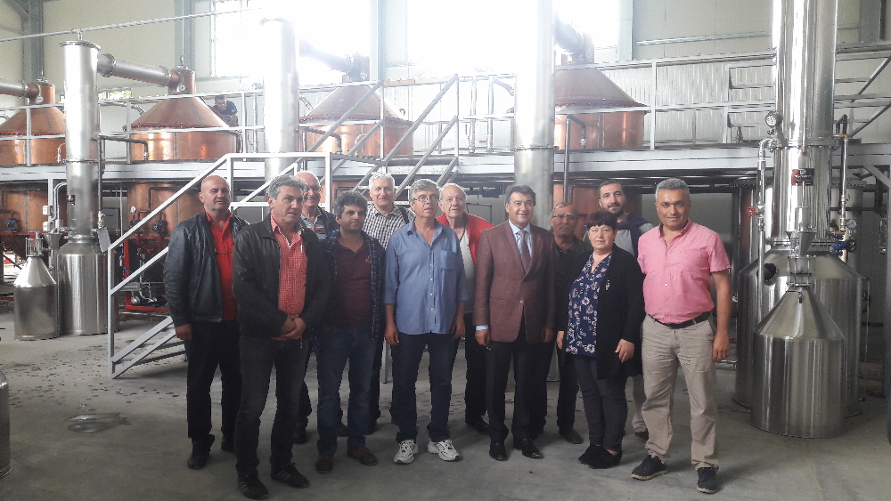 Rosa damascena Processing Plant in Bulgaria: Rose Oil, Rose Concrete and Rose Absolute Production